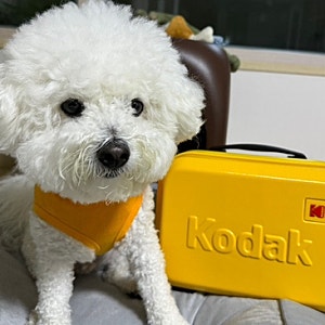 [코닥캐리어/내돈내산]기내용캐리어 추천(+미니캐리어) "kodak2024 스트라이프 캐리어 세트"