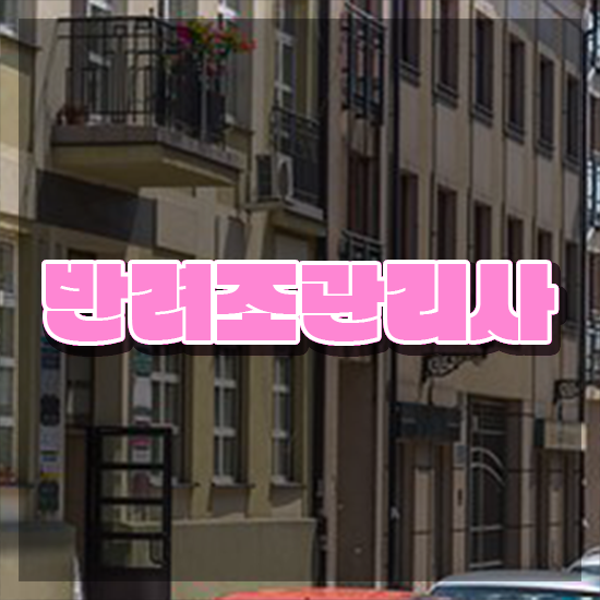  말하는 앵무새 종류 , 반려조관리사 자격증 합격한 팁 핵심 공개