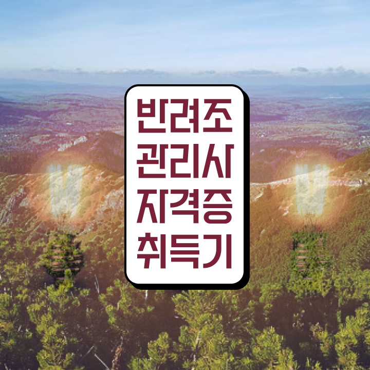  유리 앵무새 키우기 , 반려조관리사 자격증 비용없이 온라인으로 합격한 후기 및 취업정보
