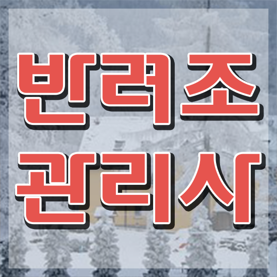  사랑 앵무새 키우기 , 반려조관리사 자격증 온라인으로 쉽게 합격한 후기 및 취업