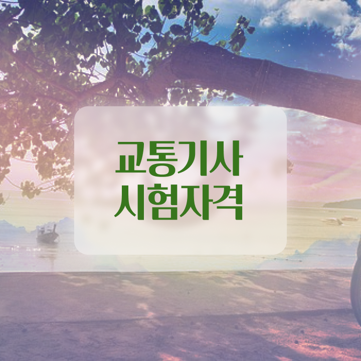  교통기술사 교통기사 취득자격 인강만 듣고 15주만에 준비한 방법