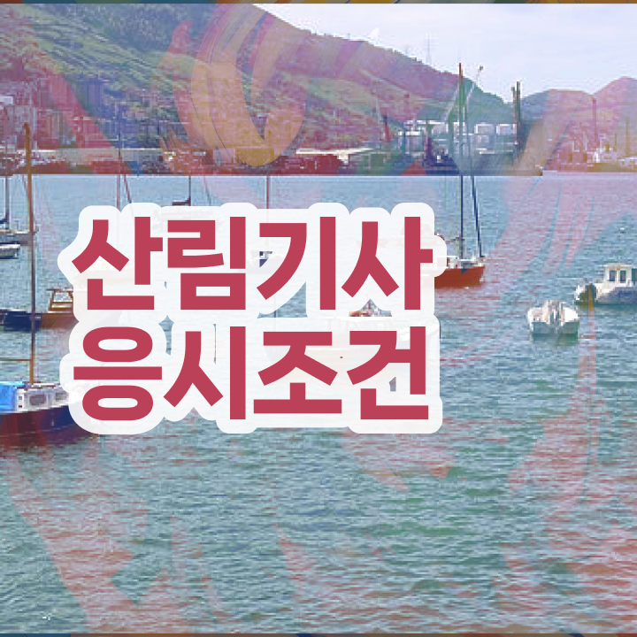  산림기사 필기합격률 산림기사 시험응시자격 학점은행제로 빠르게 끝낸 팁