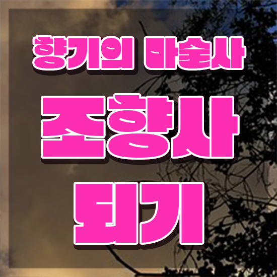 커스텀 향수 , 조향사 취득한 과정 , 취업후기
