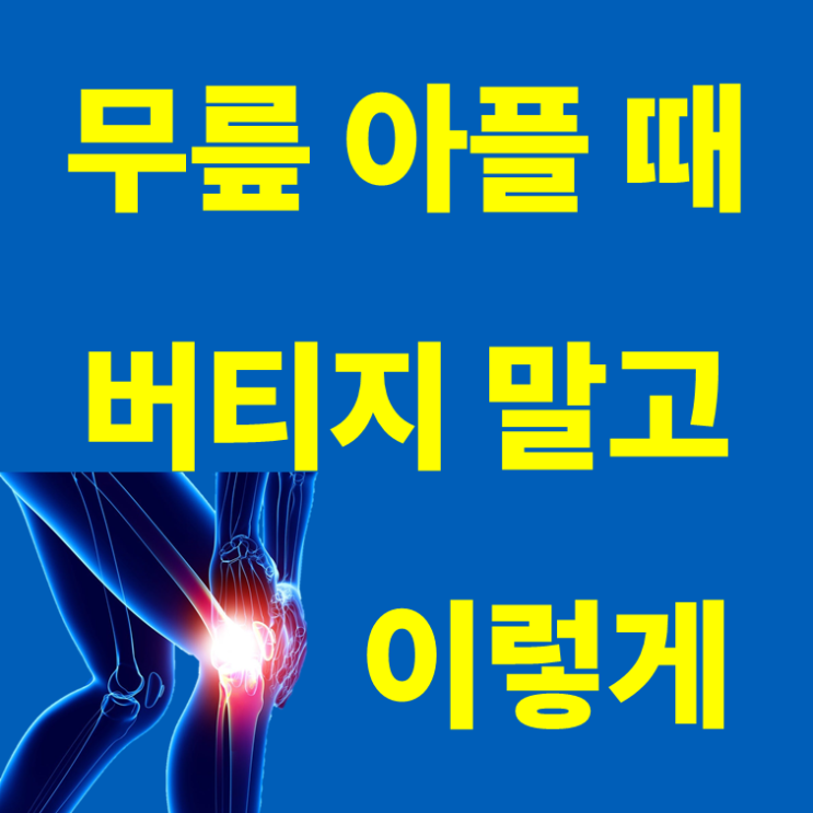  강동구 크로스핏 [무릎이 아프신가요? TOP8 운동 추천합니다]