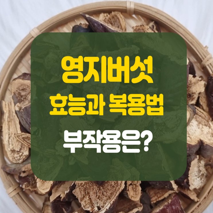 효능 좋은 영지버섯차 물 먹는법과 영지버섯 즙 진액 복용법, 부작용
