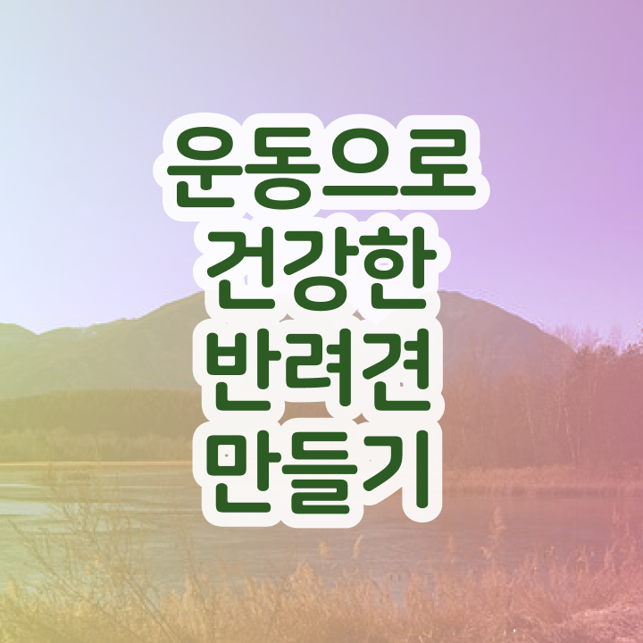  50대여자취업 , 반려견운동지도사 인강으로 학점따서 최단기간 성공한 전략