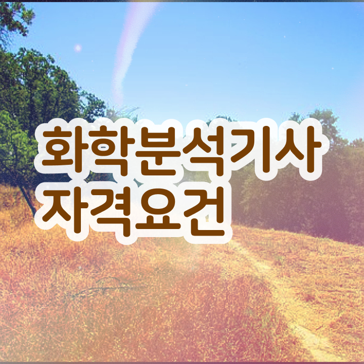  화학분석기사 필기 과목 화학분석기사 시험자격 학점은행제로 4달 안에 성공한 노하우