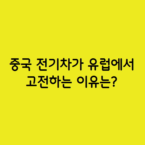 CATL 등 중국 전기차가 유럽에서 고전하는 이유는?
