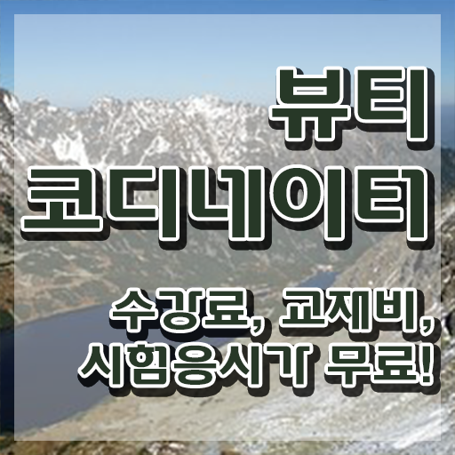  코디네이터 , 뷰티코디네이터 자격증 합격한 비법 정보 필요하시죠