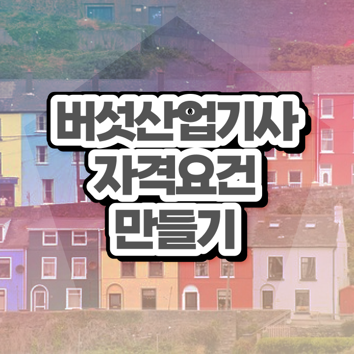  버섯산업기사 자격요건 학점은행제로 5개월 만에 끝낸 노하우