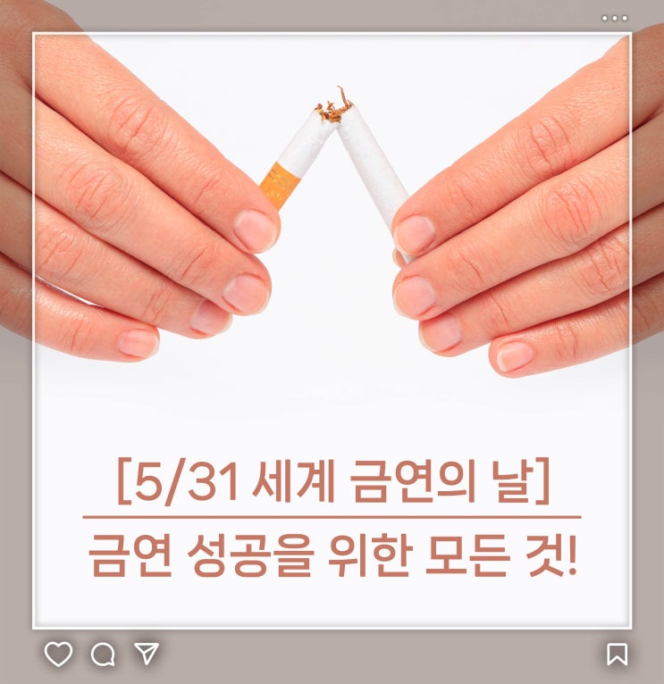  [5/31 세계 금연의 날] 금연 성공을 위한 모든 것!