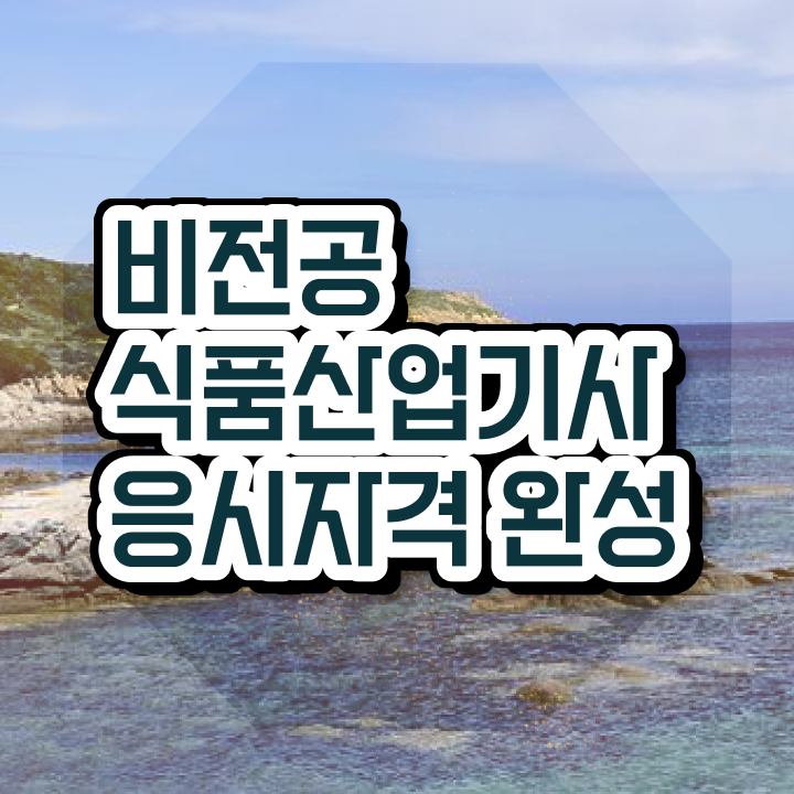  식품산업기사 비전공자 식품산업기사 응시자격 집에서 온라인으로 1학기에 완료한 방법