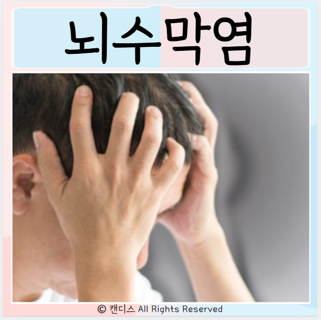  뇌수막염 원인 치료 증상
