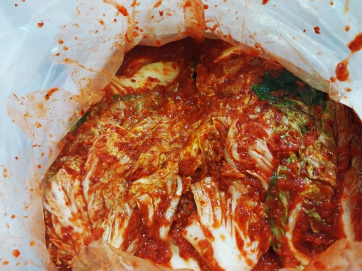  전라도 담양죽향김치ㅣ배추김치 맛을 제대로 보려면