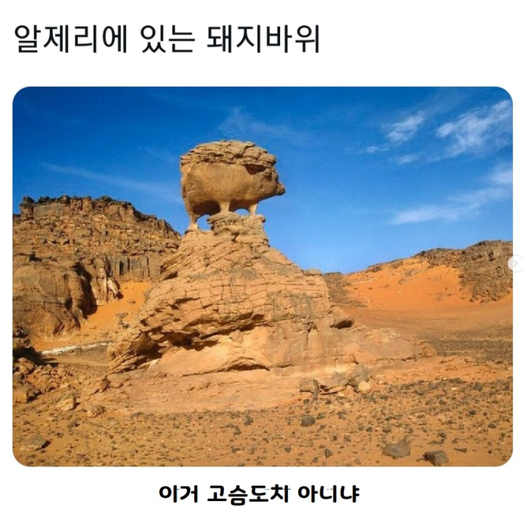  알제리에 있는 돼지바위
