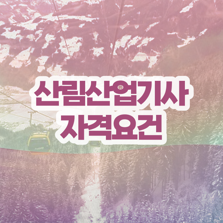  산림산업기사취업 산림산업기사 응시자격 인강만 듣고 15주만에 준비한 방법