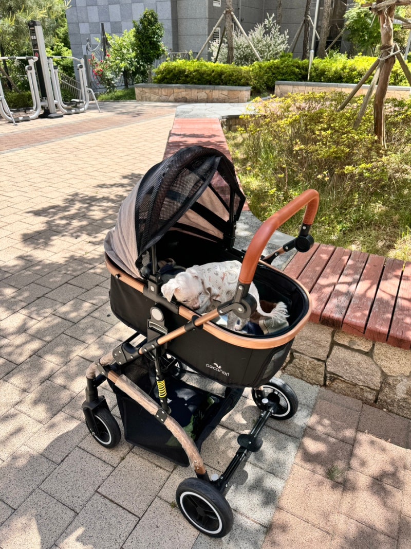 강아지 유모차 피카노리 위니 프리미엄 개모차 완전추천!