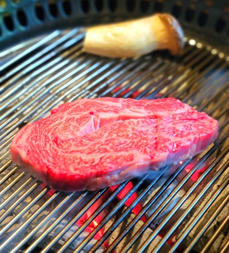  [마포역 맛집/서울안심축산 마포용강점] 용강동 맛집! 구워주는 맛있는 한우 고깃집