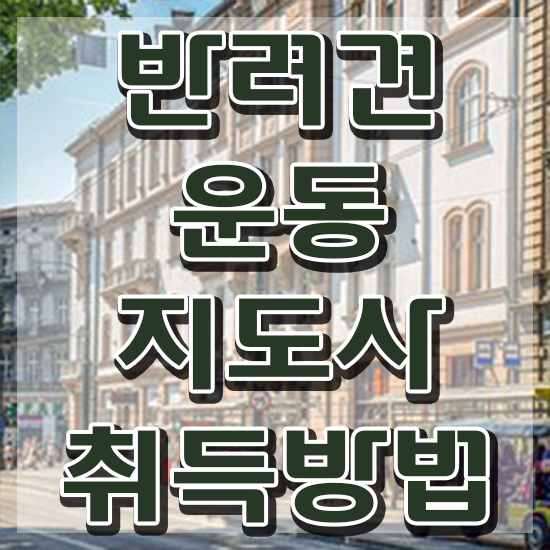  50대남자취업 반려견운동지도사자격증 응시자격 없이 합격한 후기