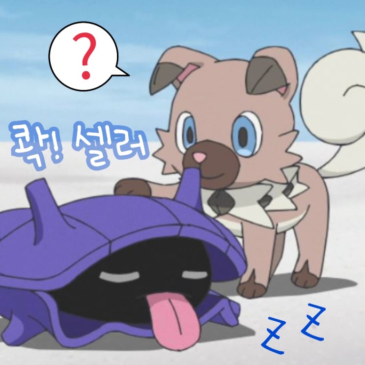 포켓몬스터 셀러 야돈 꼬리 아닌 것도 잘 깨무는 포켓몬