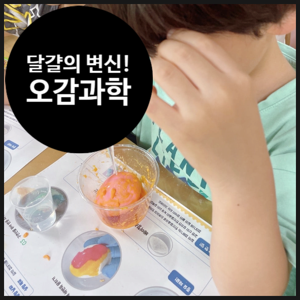  [오감 놀이 과학] 달걀의 알록달록 변신! | 오해피데이지 | 어린이집 방과후 | 성북구