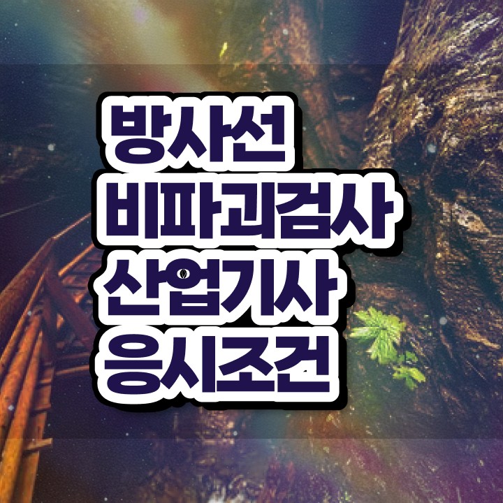  방사선비파괴검사산업기사 시험자격 집에서 온라인으로 4개월 만에 준비한 과정
