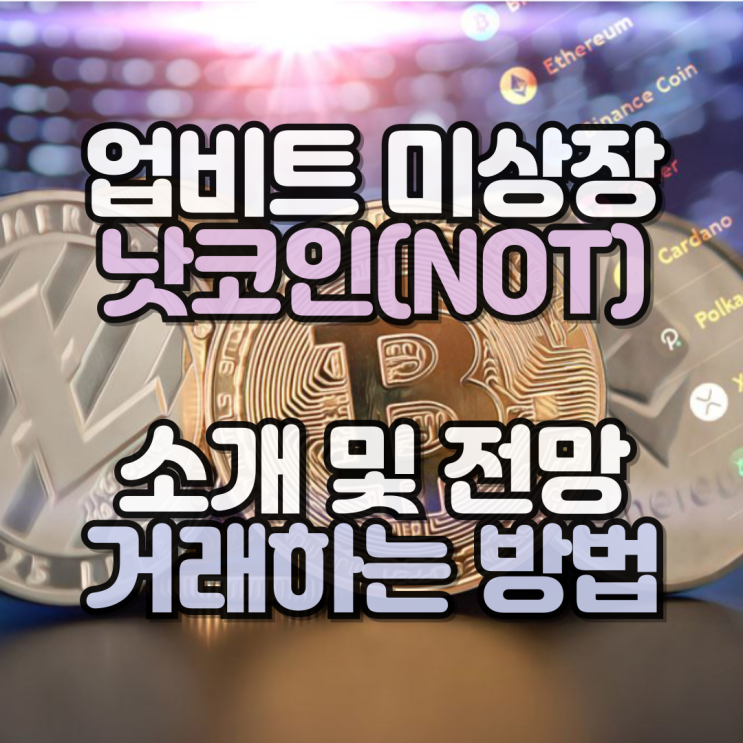  업비트 미상장 낫코인(NOT) 전망 및 소개 거래하는 법
