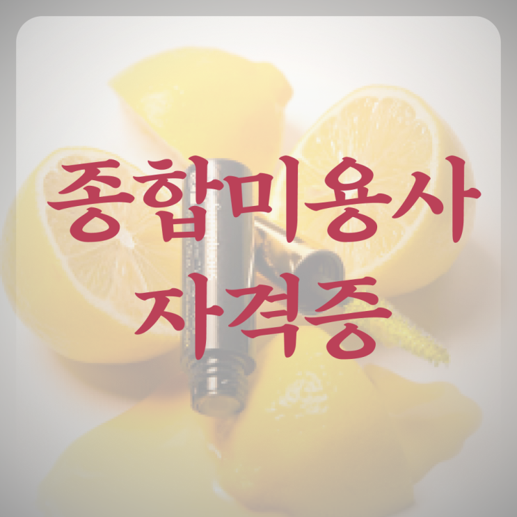  남자 미용사 , 일과 병행하며 종합미용자격증 취득하고 취업한 방법