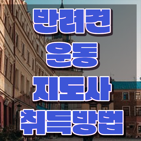  동물보건사 자격증 조건 , 조건없이 반려견운동지도사 취득 가능해요