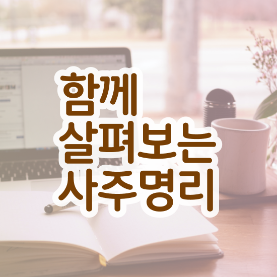  편관 사주 , 심리상담사 자격증 간단하게 취득한 노하우 , 이후 전망