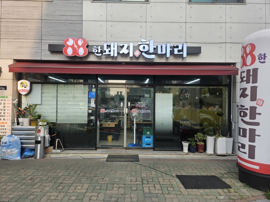 88한돼지한마리 사진 3