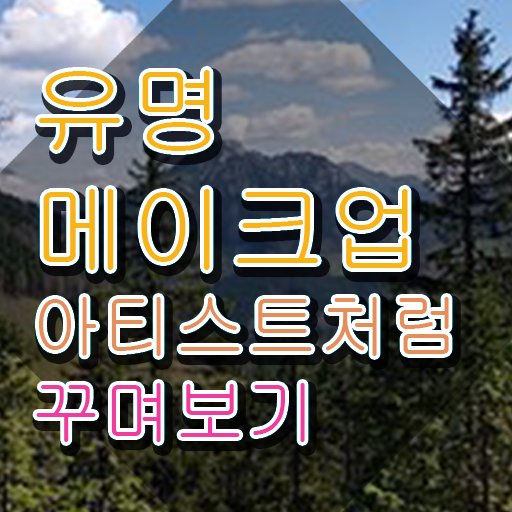  메이크업아티스트 , 메이크업코디네이터 자격증 취득한 정보 확인
