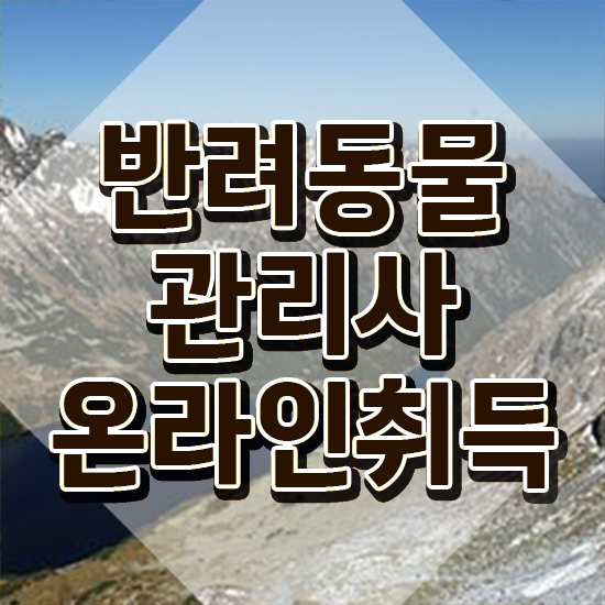  40대 취업 , 반려동물관리사 자격증 준비한 과정 궁금하셨다면