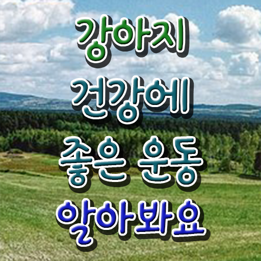  40대후반자격증 , 반려견운동지도사 실무경력 없어도 인강으로 학점따서 빠르게 성공한 후기