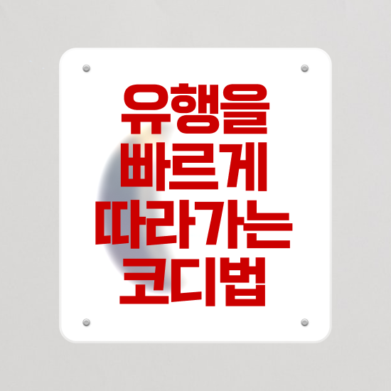 광주퍼스널컬러진단가격 , 퍼스널컬러컨설턴트 대학진학, 경력없이 빠르게 준비했던 비법