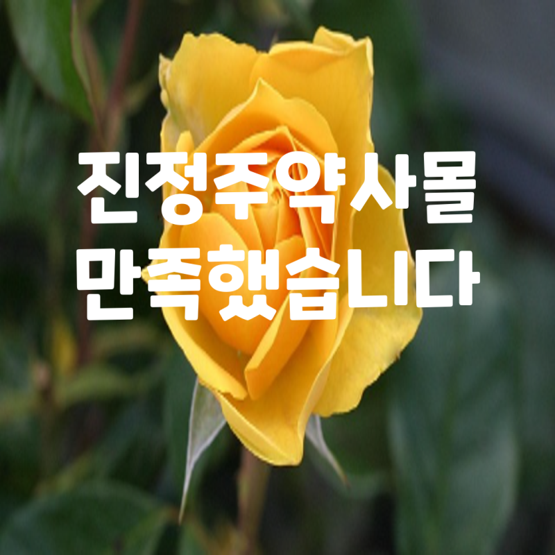 진정주약사몰 추천 인기 제품 순위 Top6: 장단점 비교 및 사용 리뷰