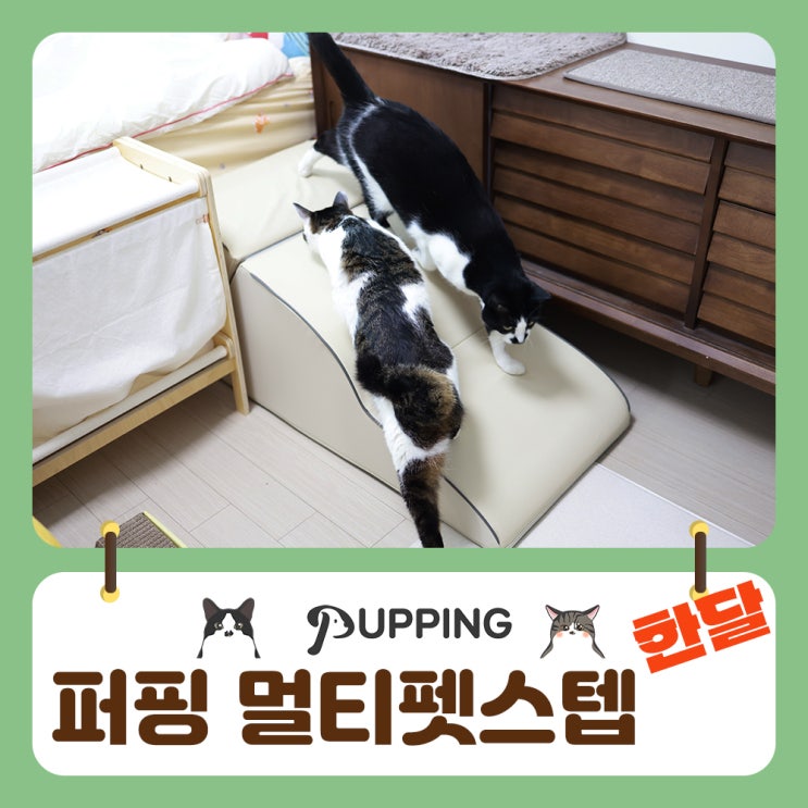  높이 조절 퍼핑 멀티펫스텝 높은침대 사용기
