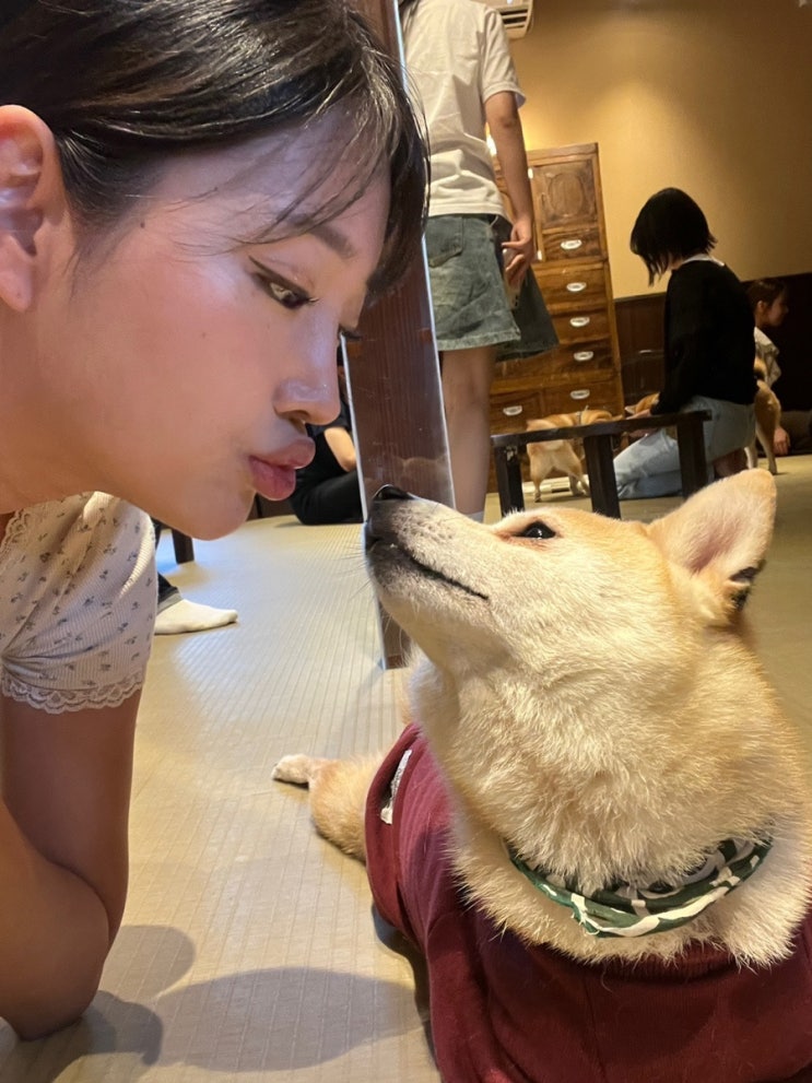  일본 후쿠오카 여행 #2 콩씨랑 유후인으로 떠나용  with 고속버스(하카타에서 유후인/료칸유리/시바카페/카페듀오)