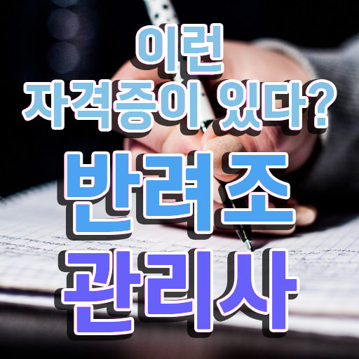  코뉴어앵무새 , 반려조관리사 자격증 1달 만에 취득한 노하우 , 취업