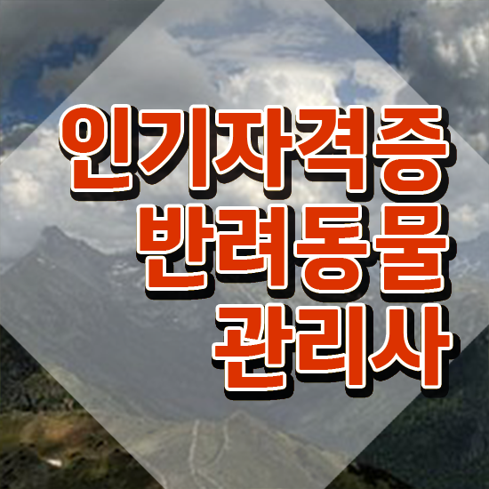  반려동물 관리사 , 반려동물관리사 자격증 쉽고 빠르게 취득한 정보 정리했어요
