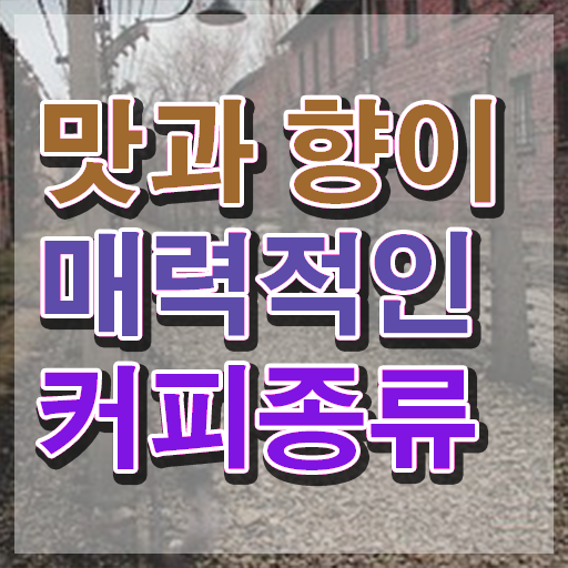  바리스타 학원 , 바리스타 자격증 합격한 팁 알아보기