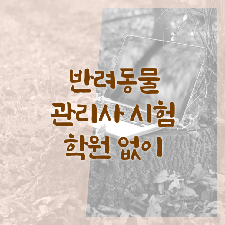  반려동물관리사 , 반려동물관리사 자격증 준비한 과정 완벽 정리