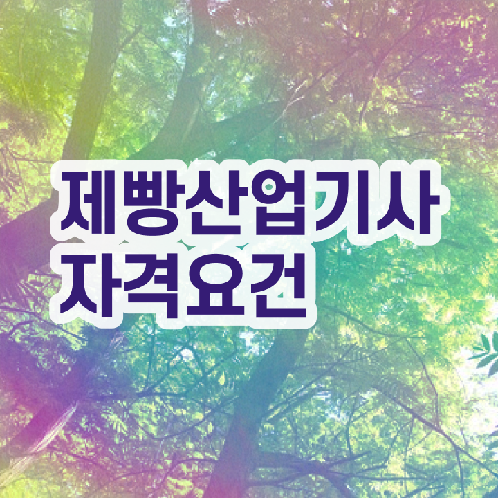  제빵산업기사 시험 자격 제빵산업기사 자격요건 독학으로 4달 안에 끝낸 팁