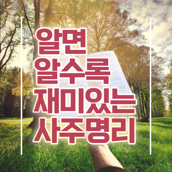  도화살 사주 , 심리상담사 자격증 온라인으로 취득한 방법 및 온라인 무료강의