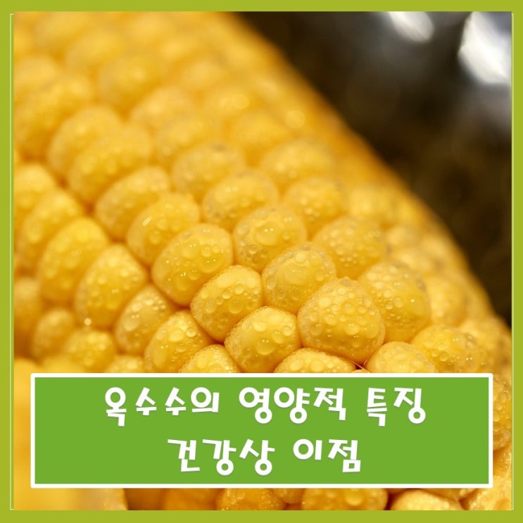  옥수수의 영양적 특징과 건강상 이점