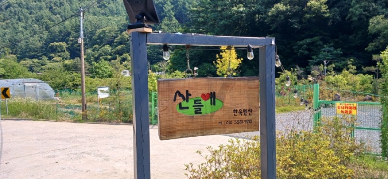 사진 5