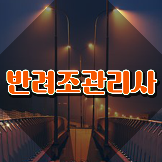  , 반려조관리사 자격증 응시자격 없이 합격한 전략 , 온라인 무료강의