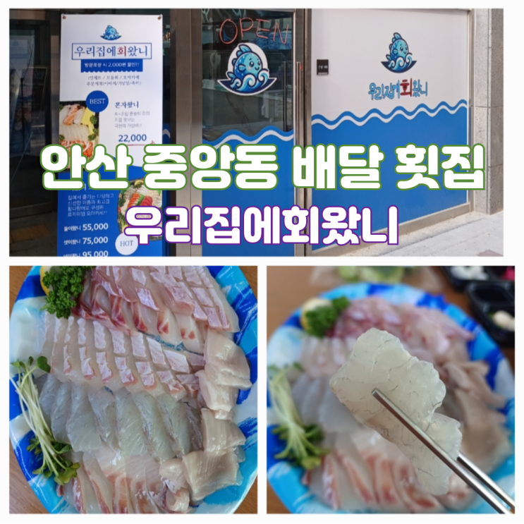 안산 중앙동 횟집 배달 포장 횟집 맛집 우리집에회왔니 안산 중앙동 횟집 배달 포장 횟집 맛집 우리집에회왔니