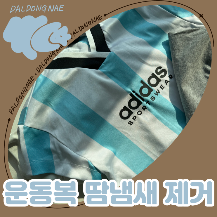  운동복 땀 냄새 제거하는 법