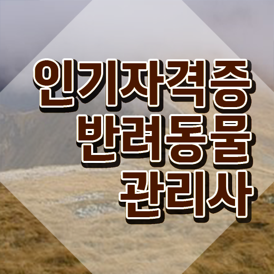  40대주부취업 , 반려동물관리사 자격증 취득한 과정 정보를 알고싶다면